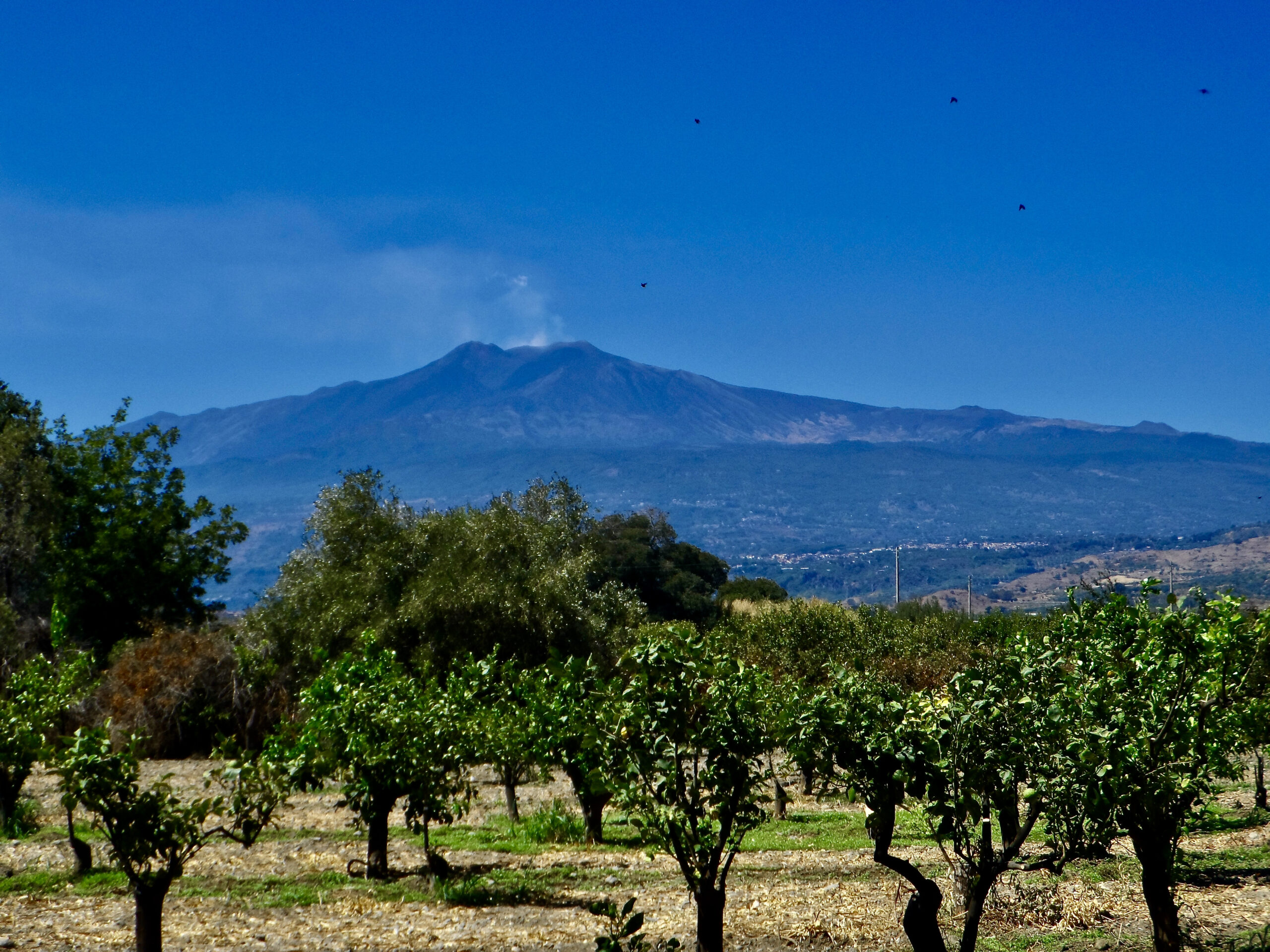 EF5B3F41-83C7-42E1-B865-22A715B0145F_1_201_a